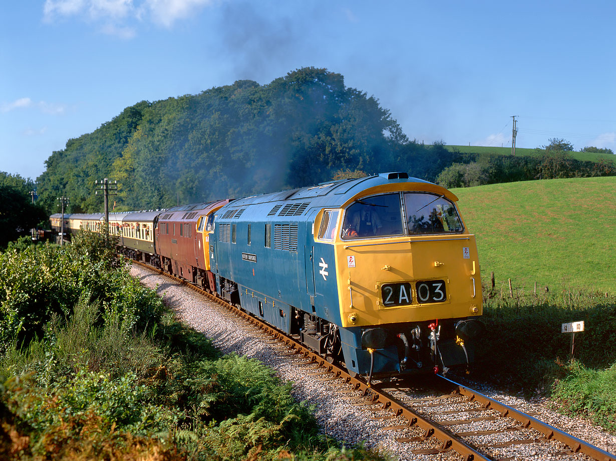 1010 & D1041 Stogumber 1 October 1995