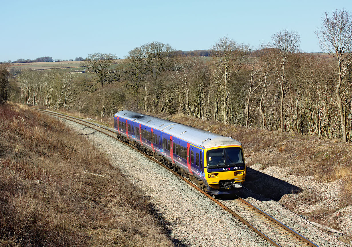 166213 Shorthampton 8 March 2010