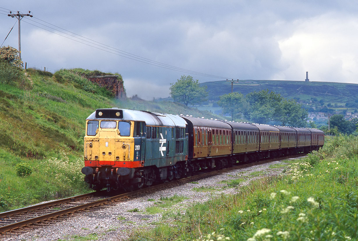 31101 Burrs 10 June 1994