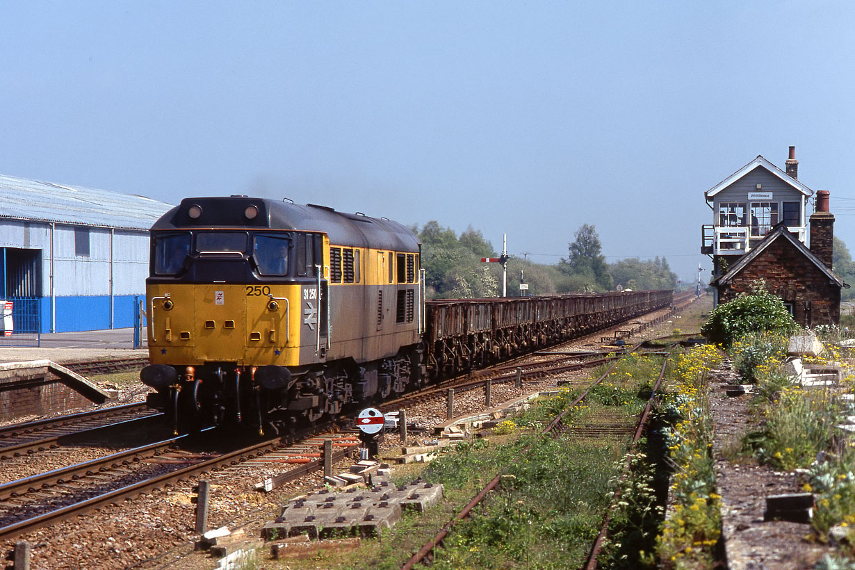 31250 Whittlesea 20 May 1991