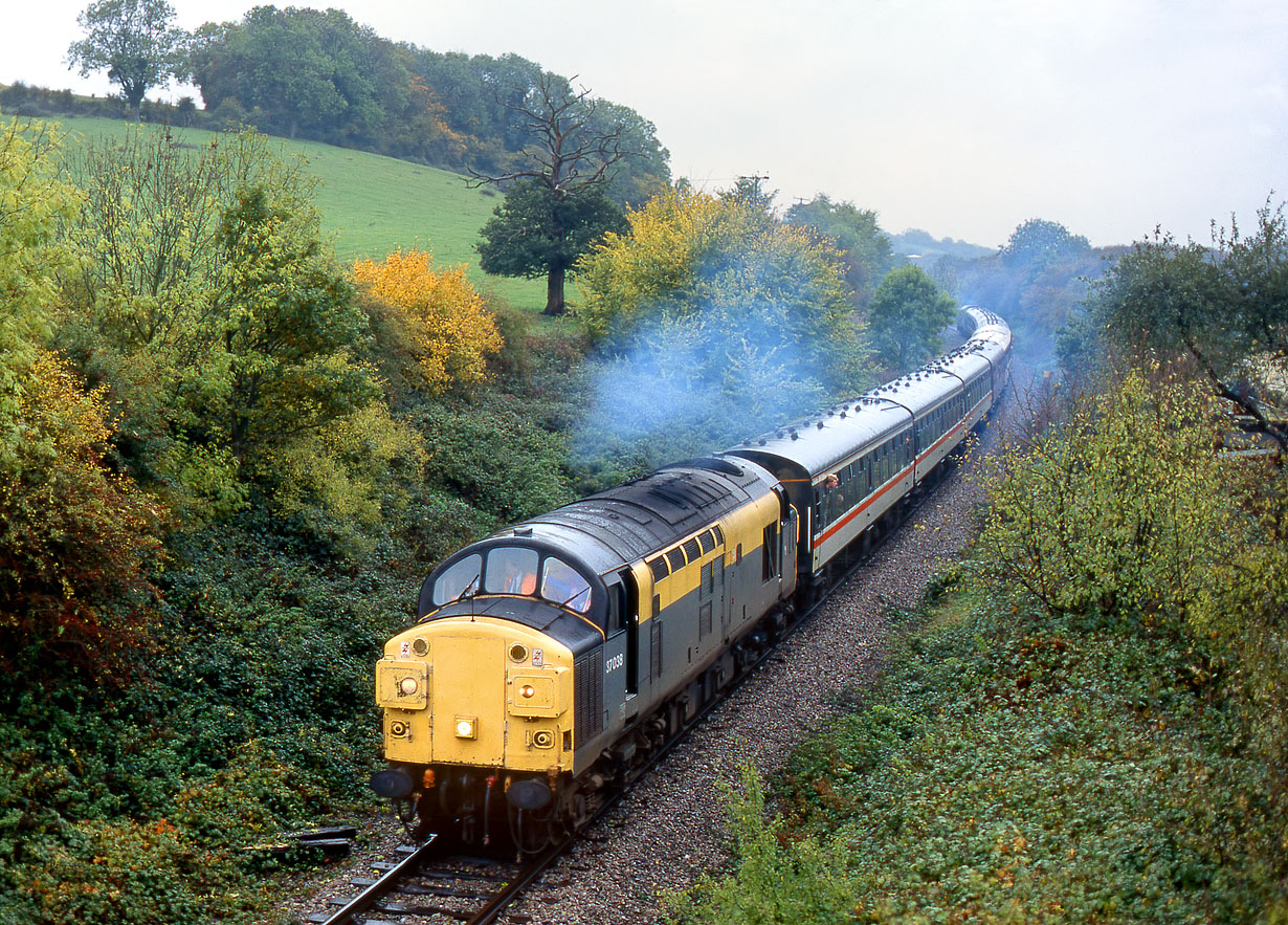 37038 Westerleigh 11 November 1995