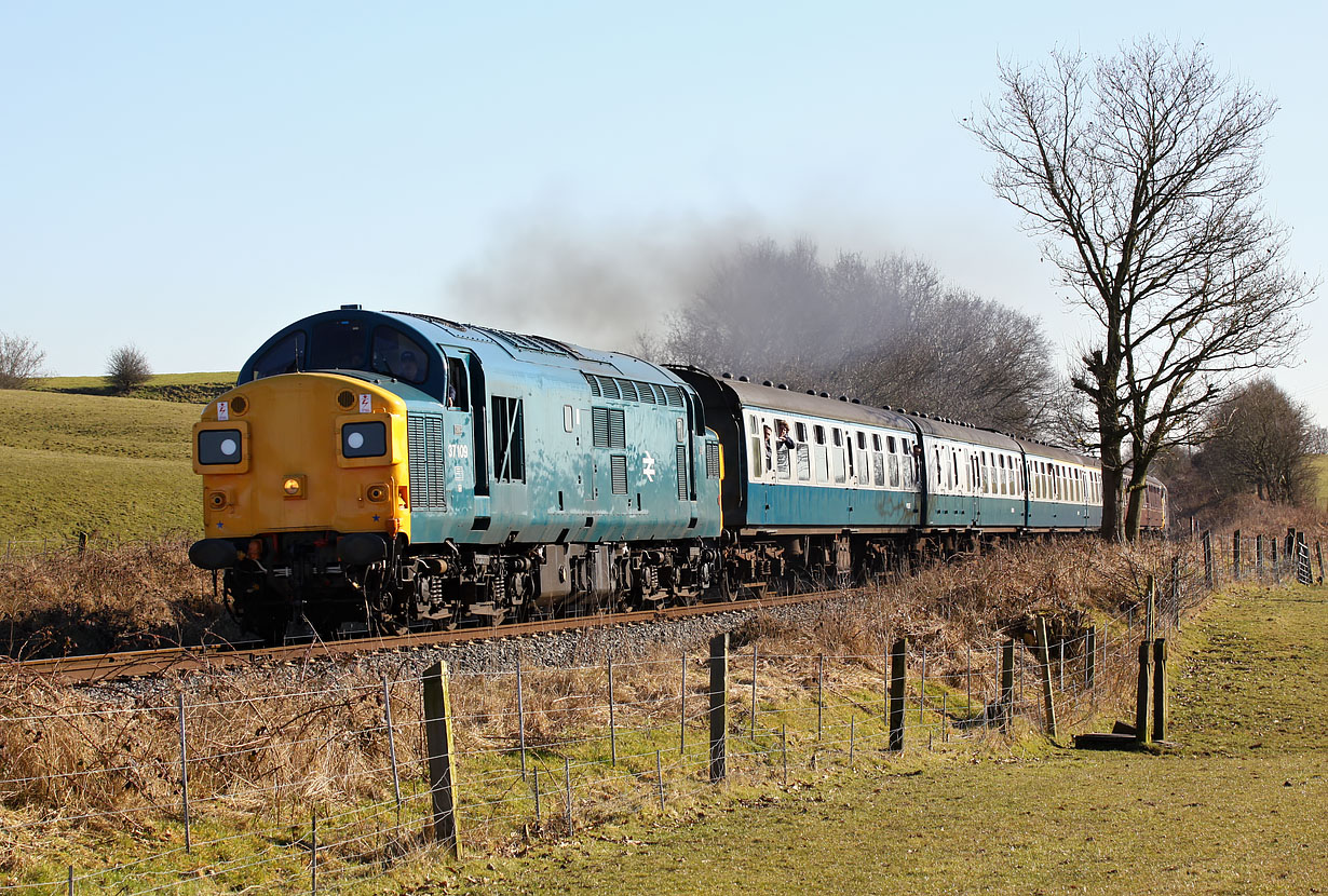 37109 Burrs 7 March 2010