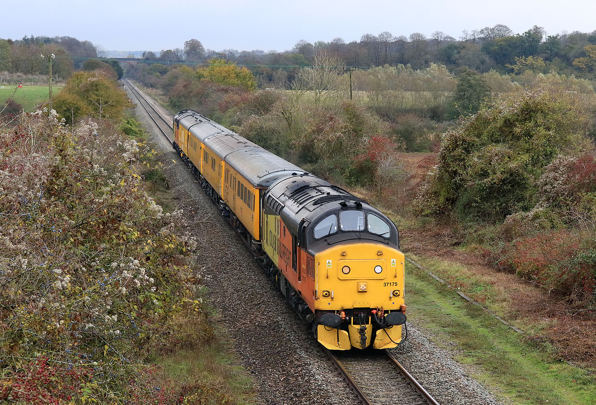 37175 Whitehill 1 November 2018