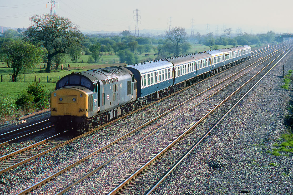 37256 Marshfield 28 April 1984