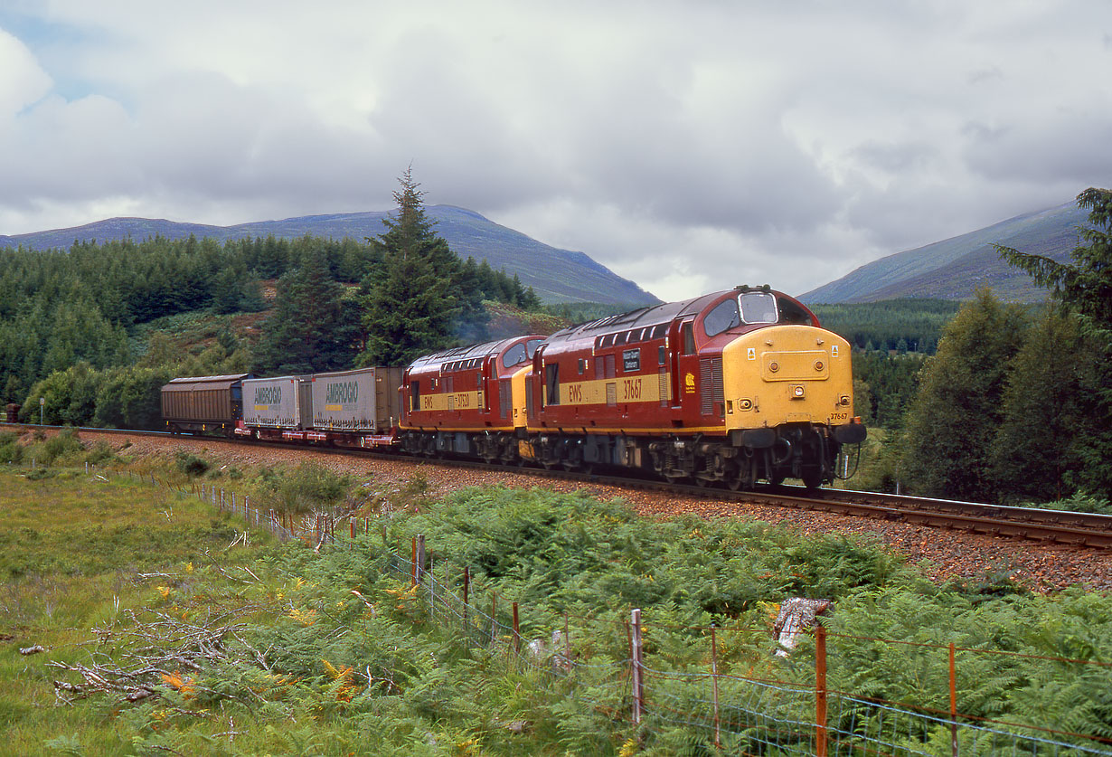 37667 & 37520 Tulloch 8 August 2000