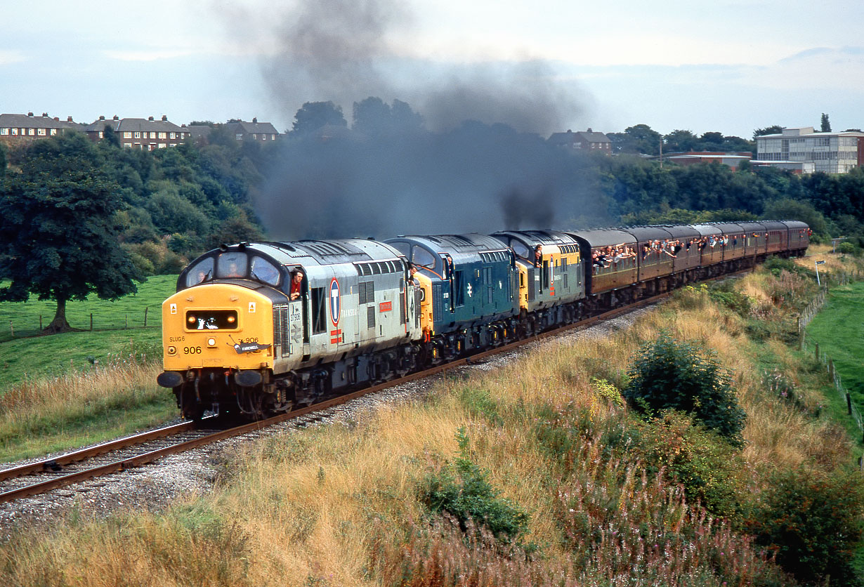 37906, 37029 & 37351 Burrs 12 September 1999