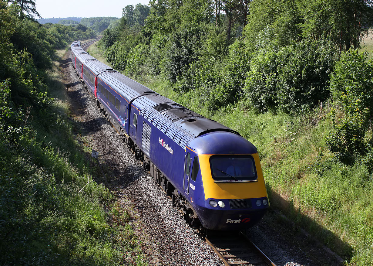 43180 Charlbury (Cornbury Park) 28 June 2010