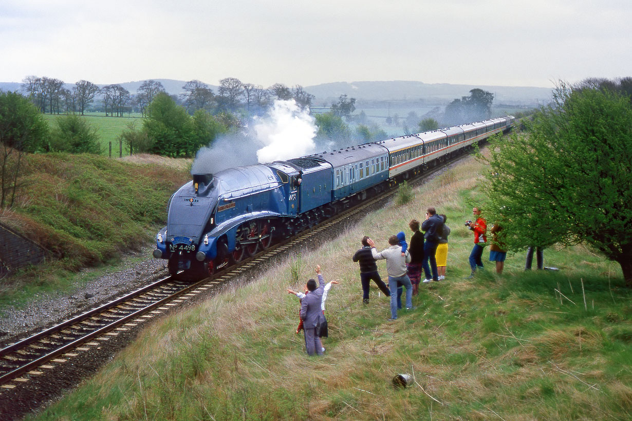 4498 Kingsey 11 May 1986