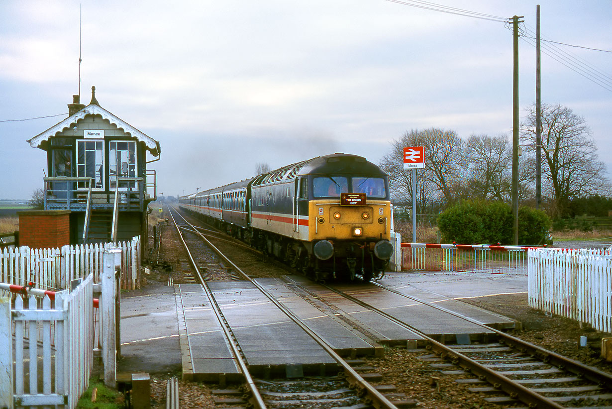 47820 Manea 15 January 1995