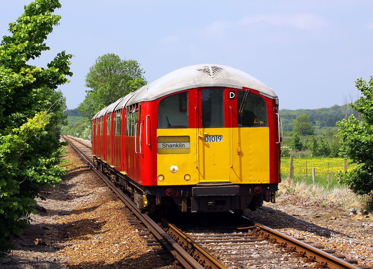 483009 Brading Marshes 31 May 2013