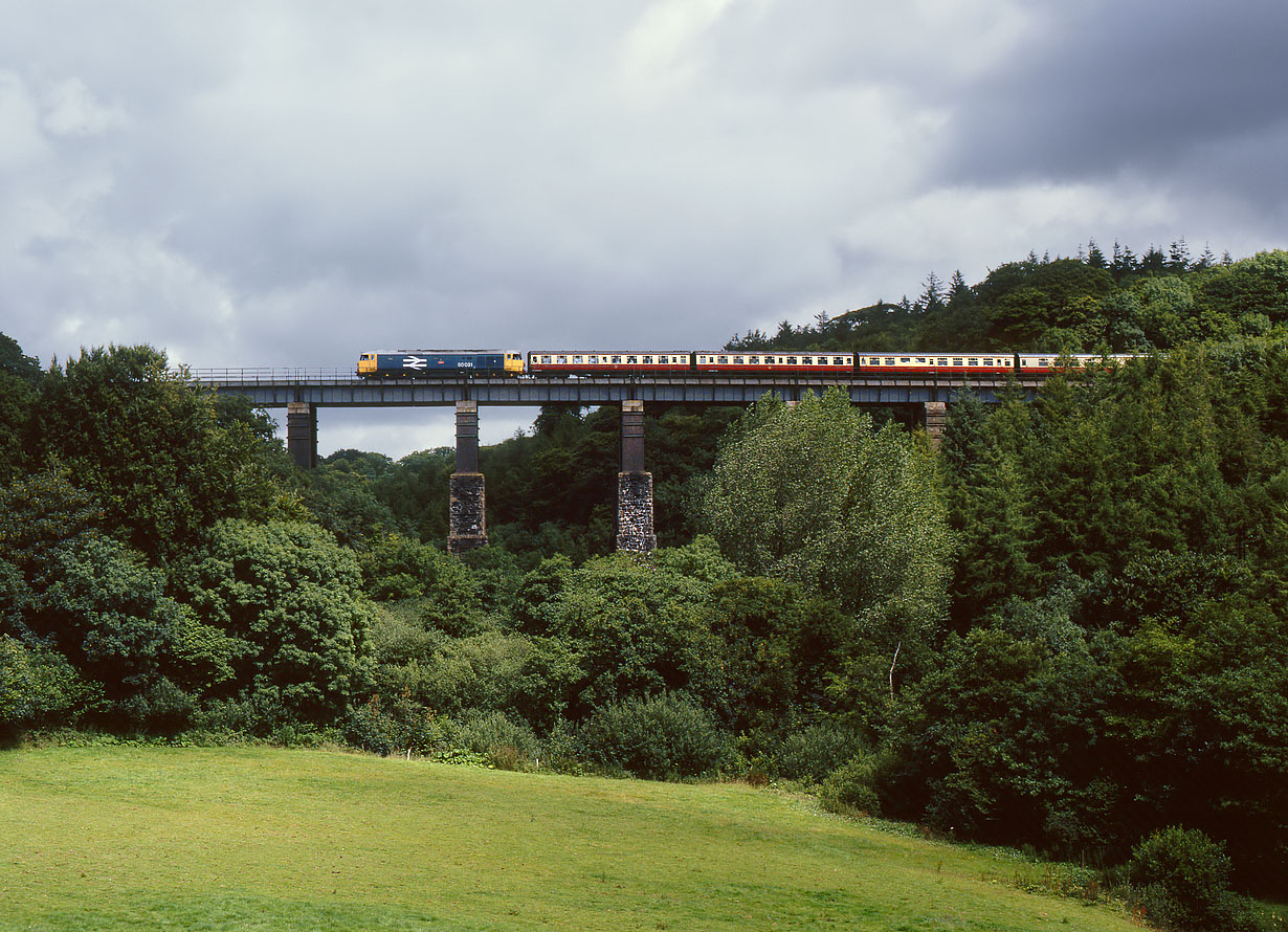 50031 Coldrenick Viaduct 18 July 1998