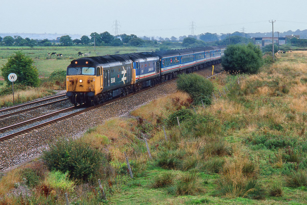 50046 & 50029 Exminster 15 September 1991