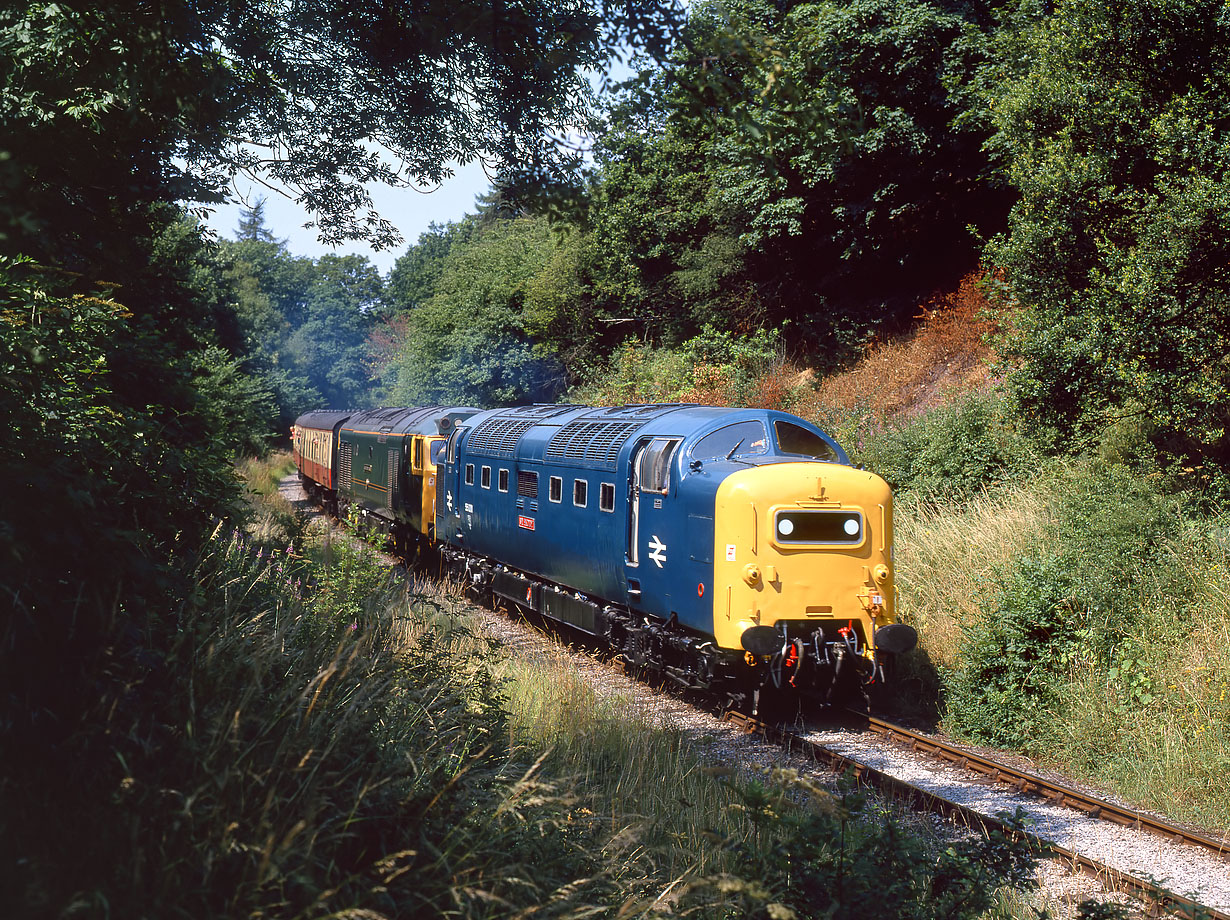 50015 & 50007 Golden Valley 23 July 1994