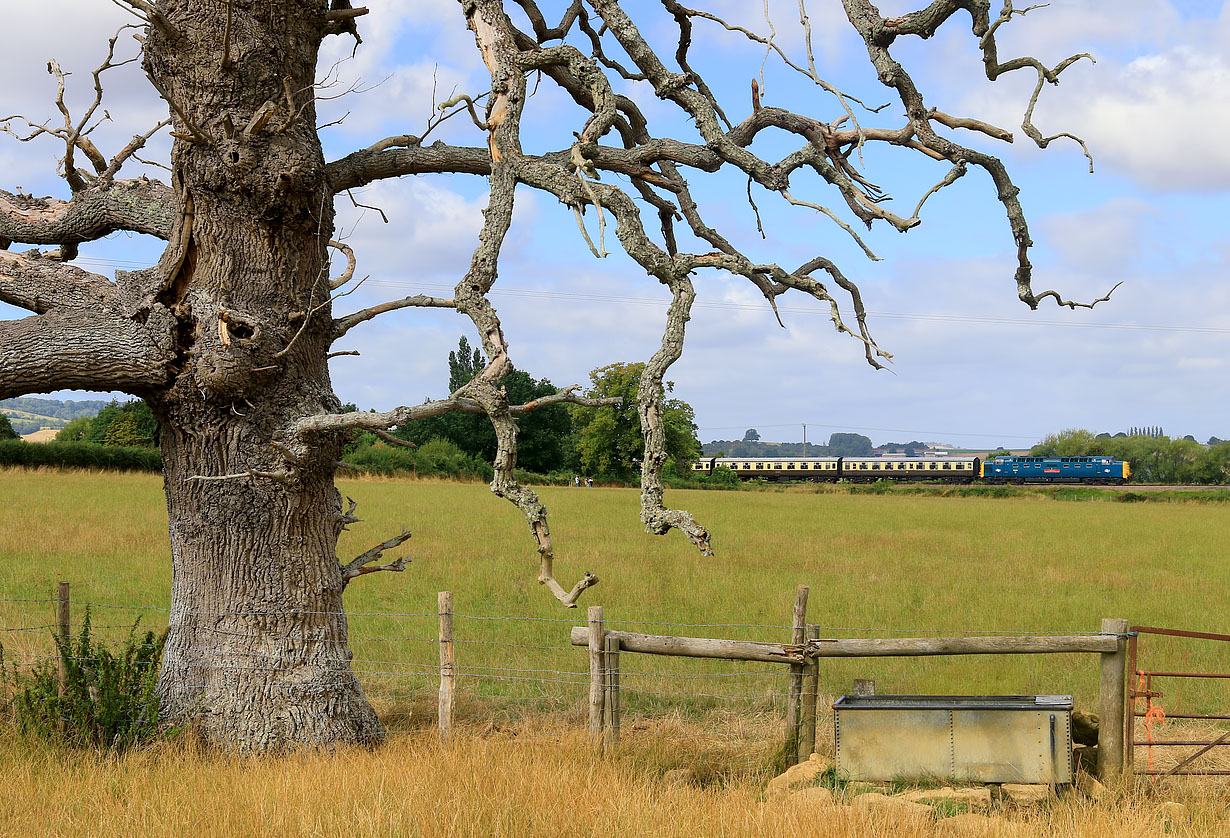 55019 Didbrook 19 August 2022