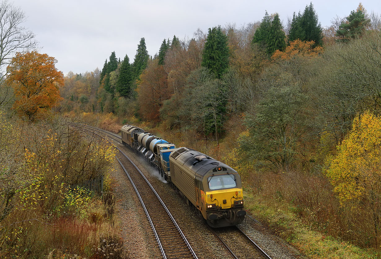 67023 Hailey Wood 23 November 2021