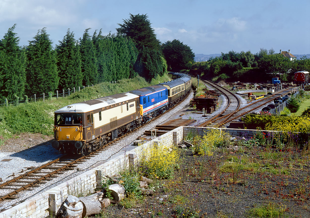 73101 & 73109 Churston 20 June 1993