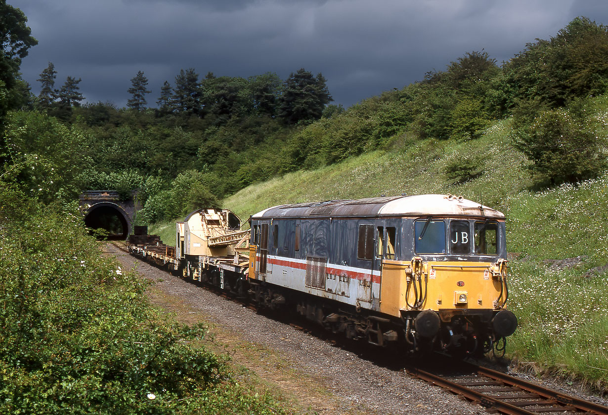 73141 Barnston Tunnel 16 June 2002