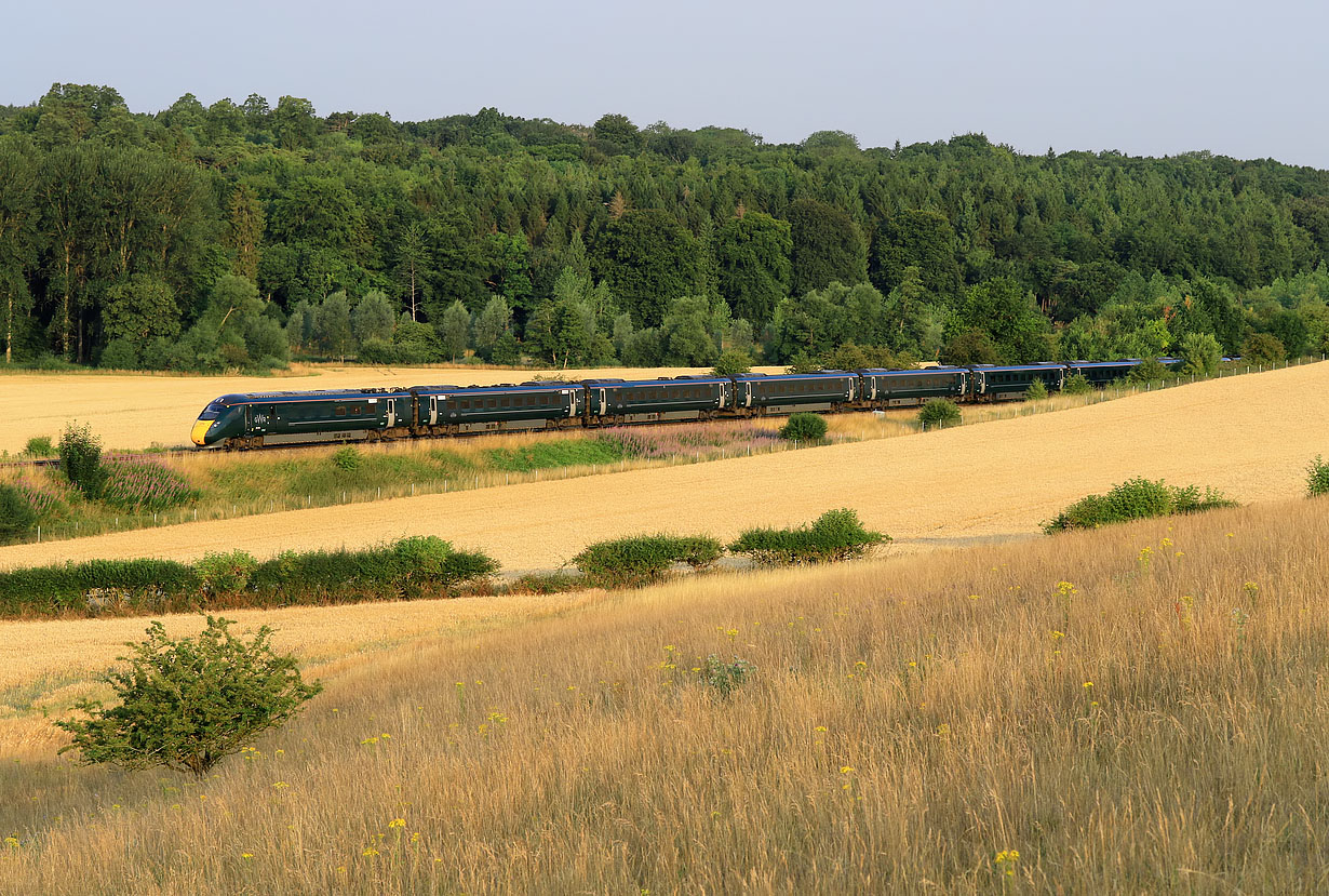 800305 Stonesfield 19 July 2022