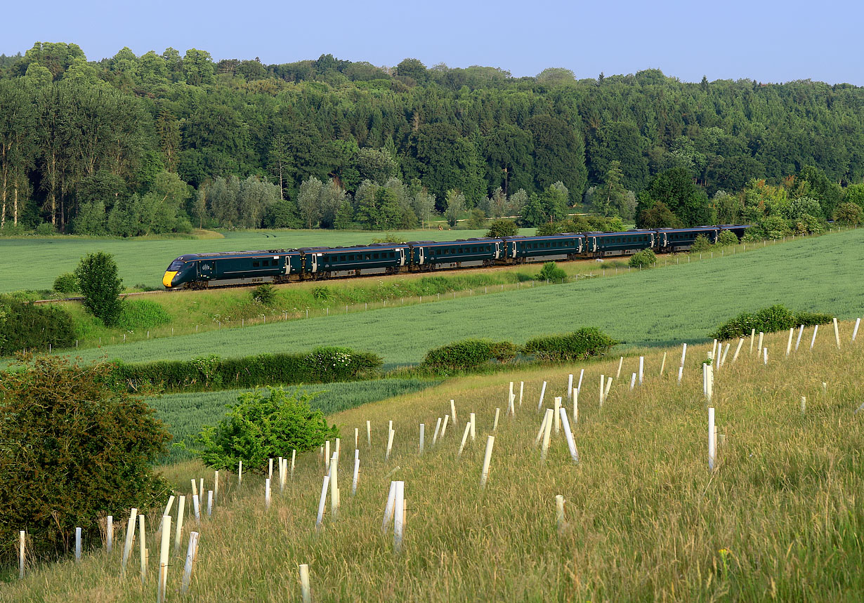 800318 Stonesfield 12 June 2025