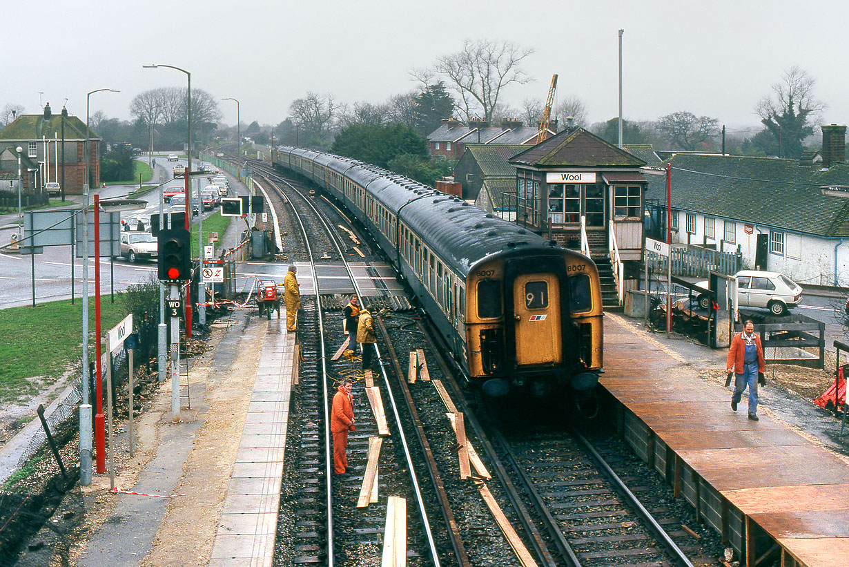 8007 Wool 9 January 1988