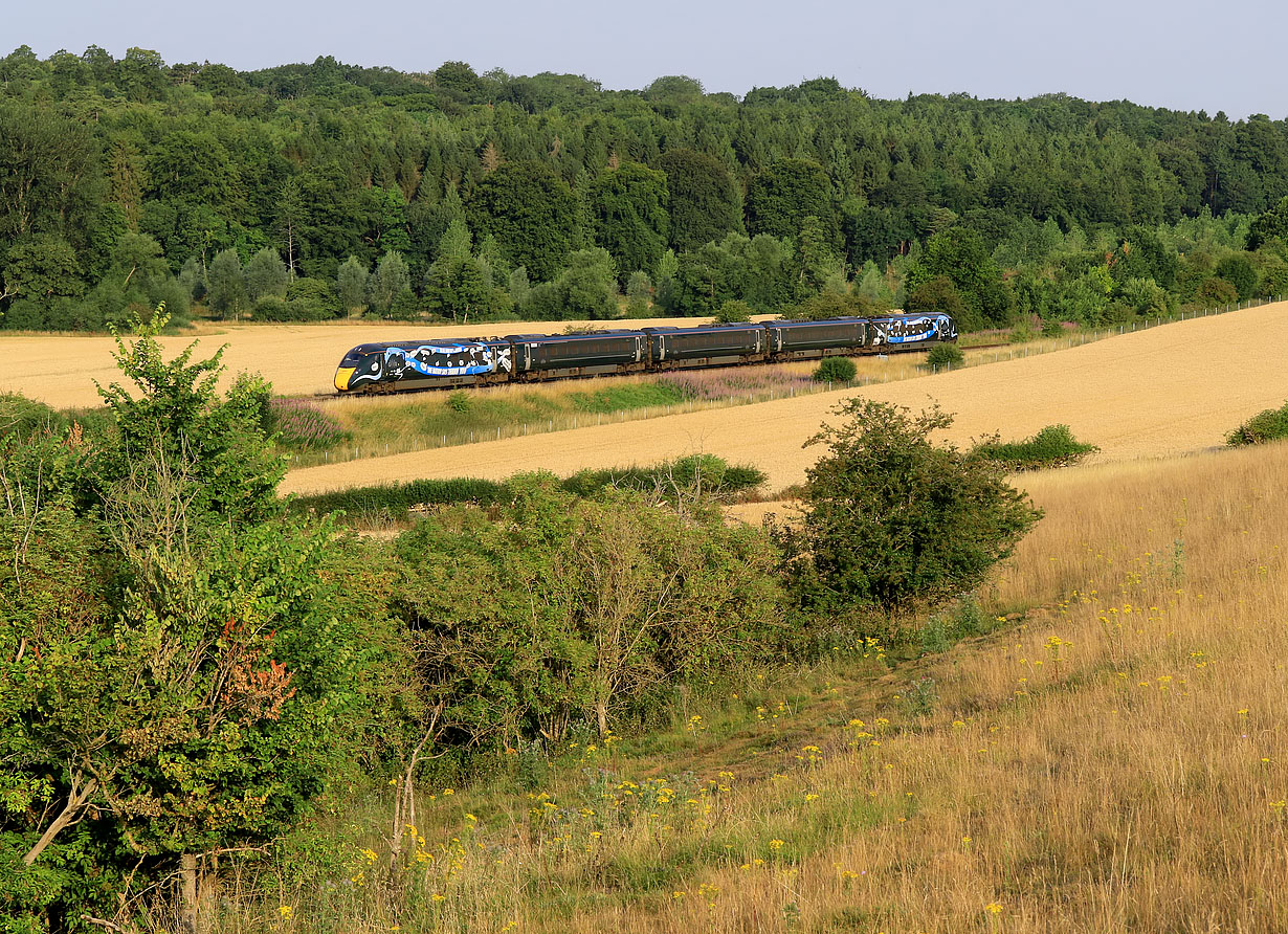 802020 Stonesfield 19 July 2022