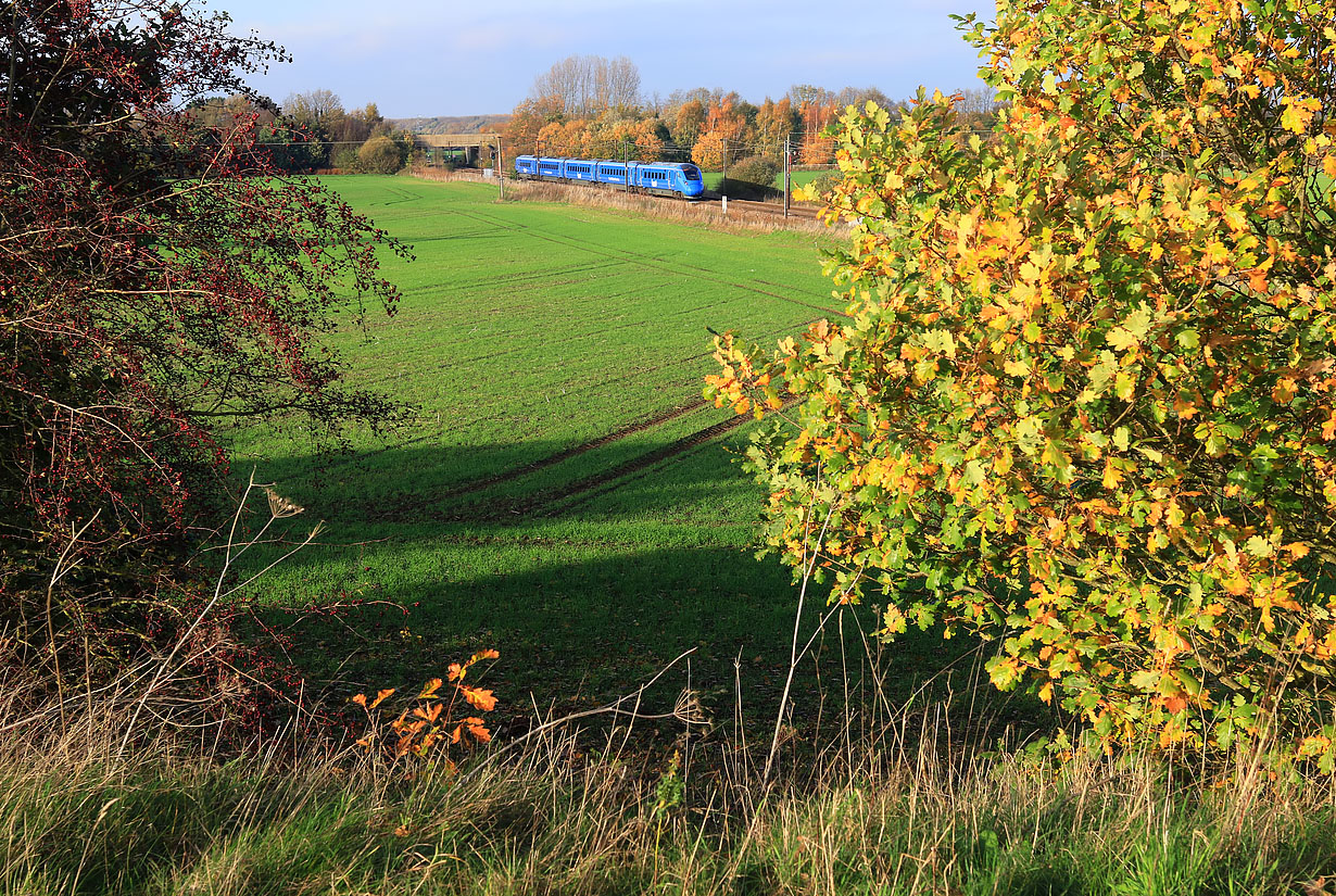 803003 Hambleton 12 November 2022