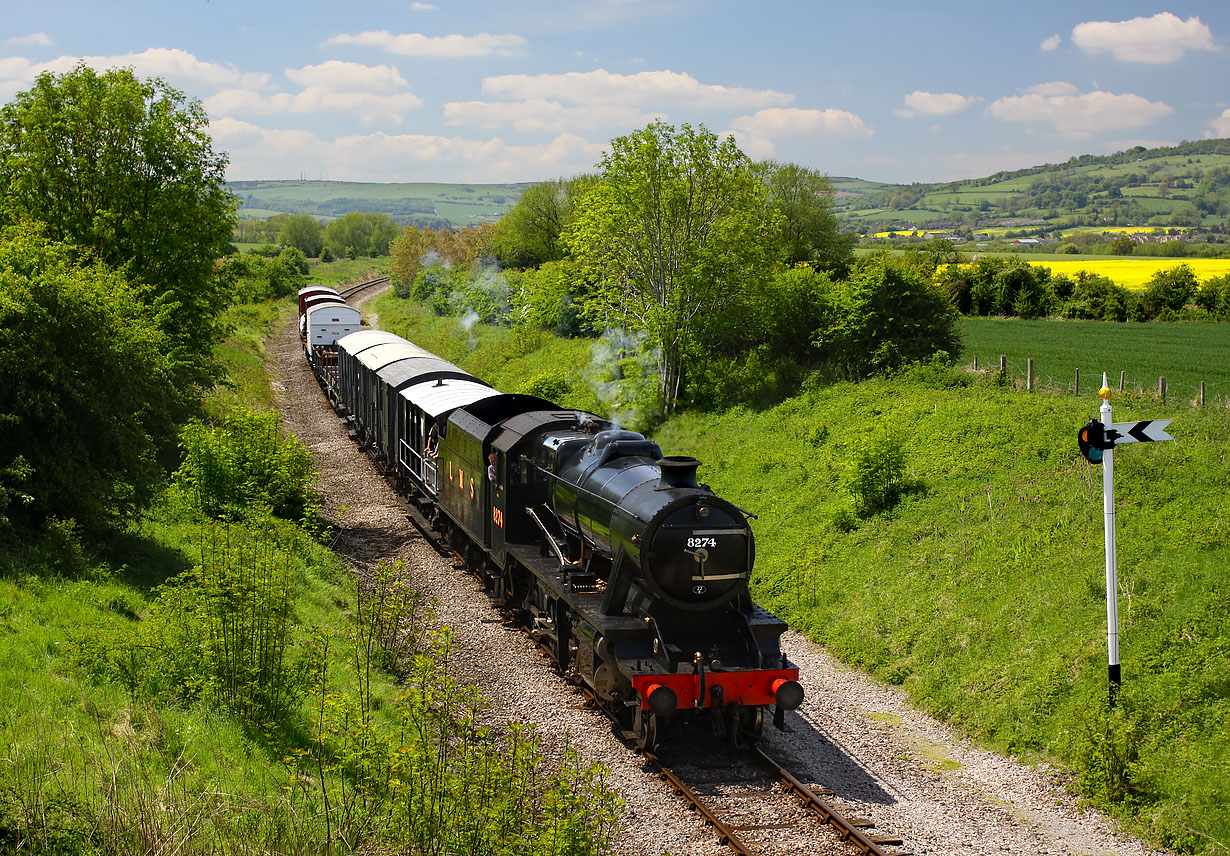 8274 Hailes 26 May 2013