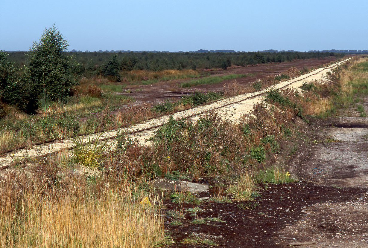 Bank Top (Swinefleet Peat Railway) 1 September 2002