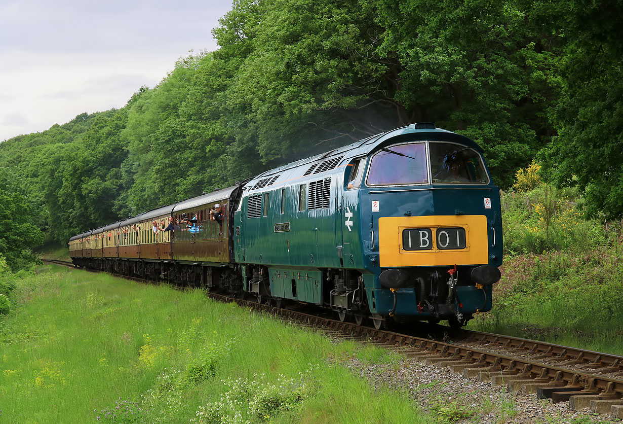 D1015 Northwood Lane 21 May 2022