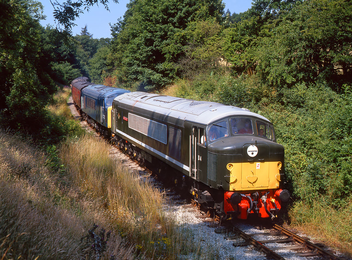 D4 & 45133 Golden Valley 23 July 1994