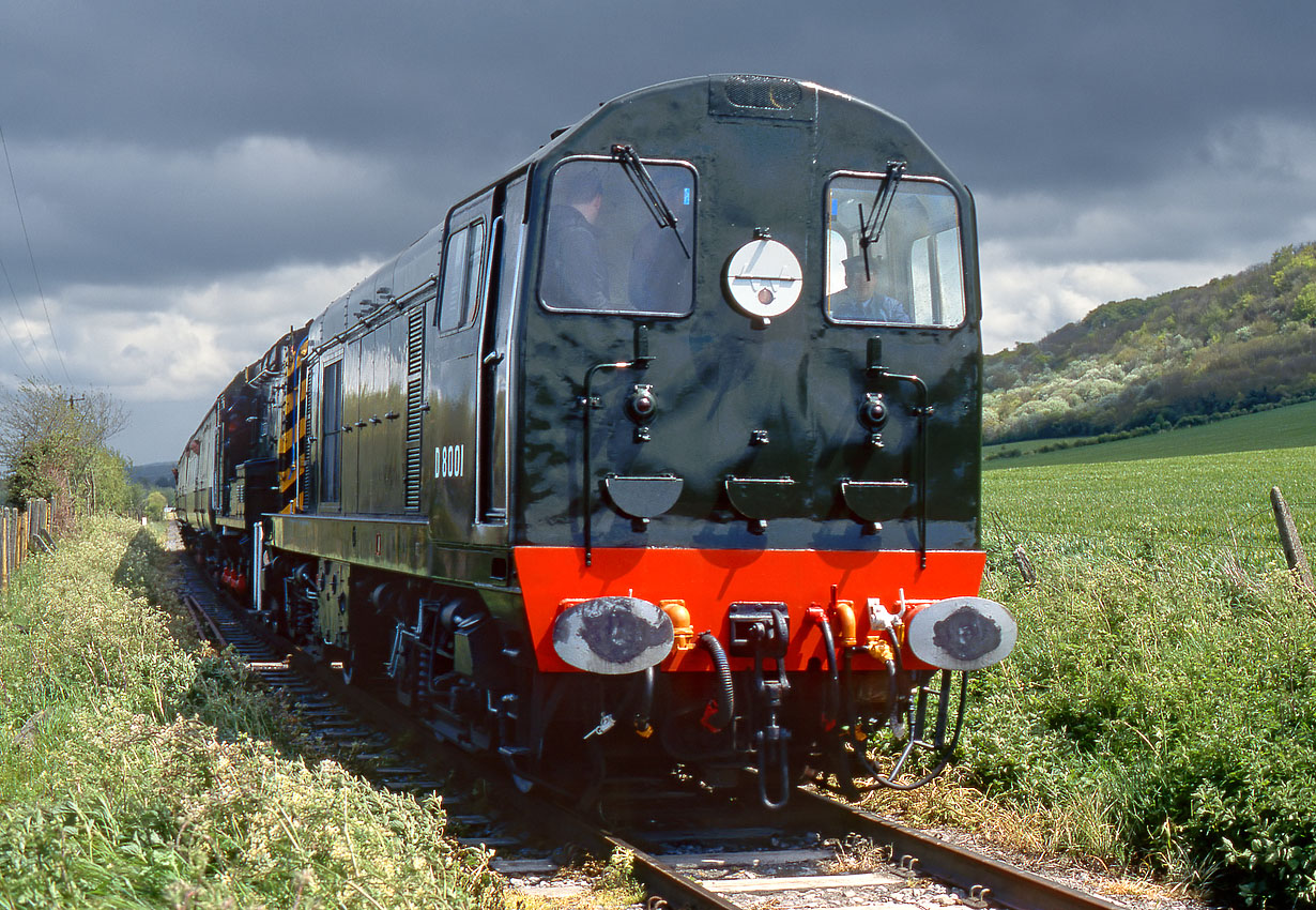 D8001 & 13018 Chinnor 19 May 1996