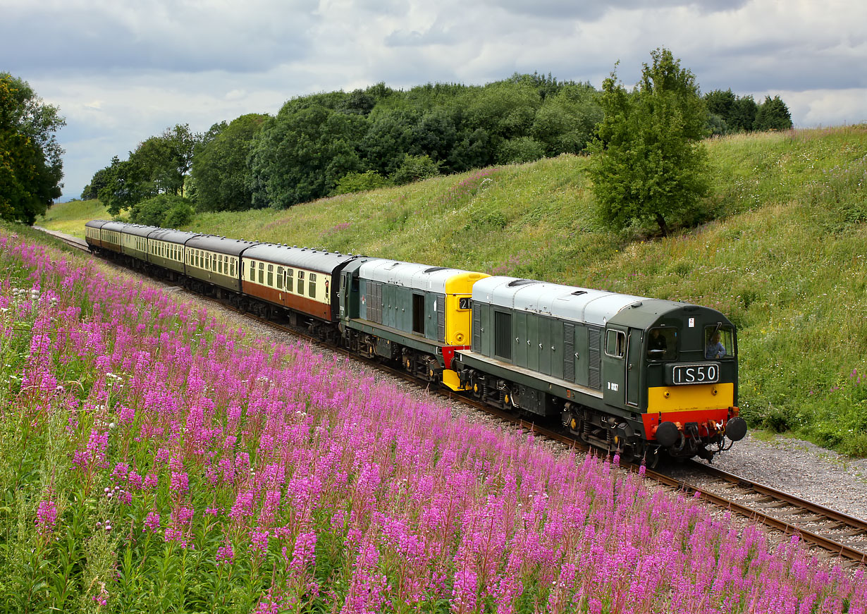 D8137 & 20154 Dixton 10 July 2009