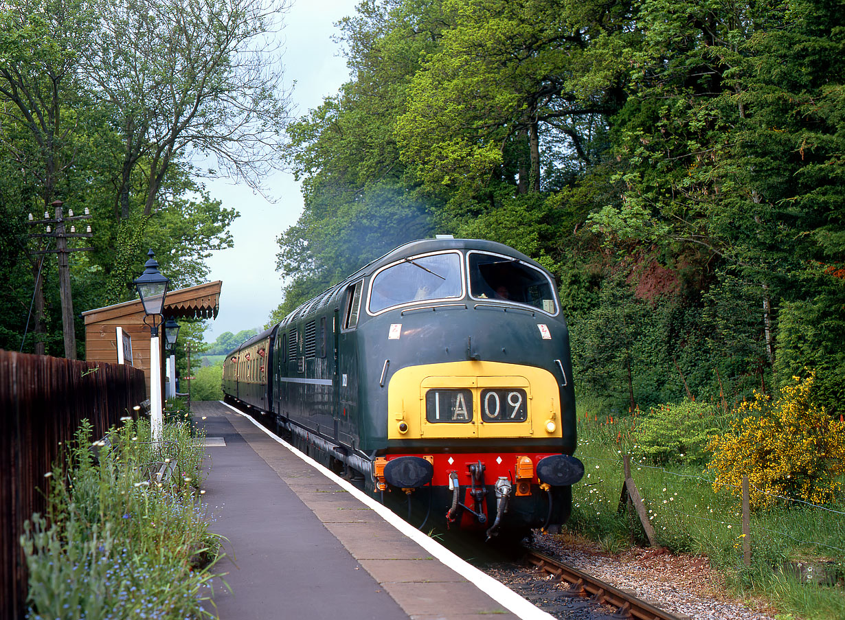 D821 Stogumber 18 May 1997