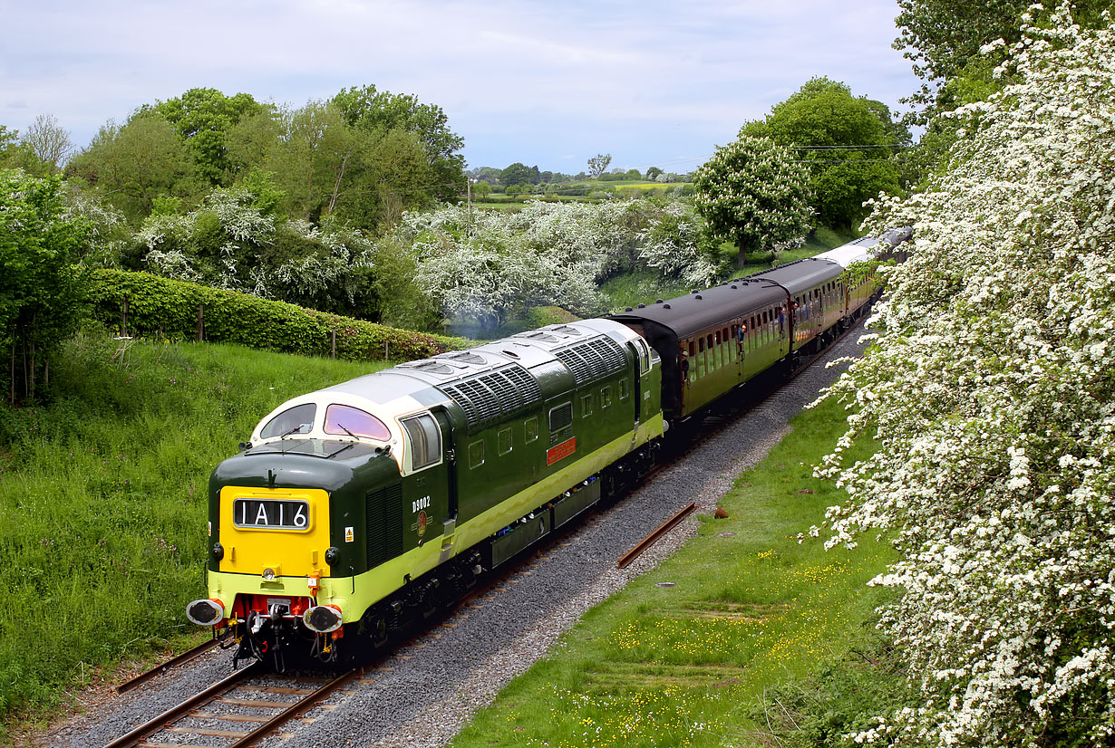 D9002 Eardington 19 May 2016