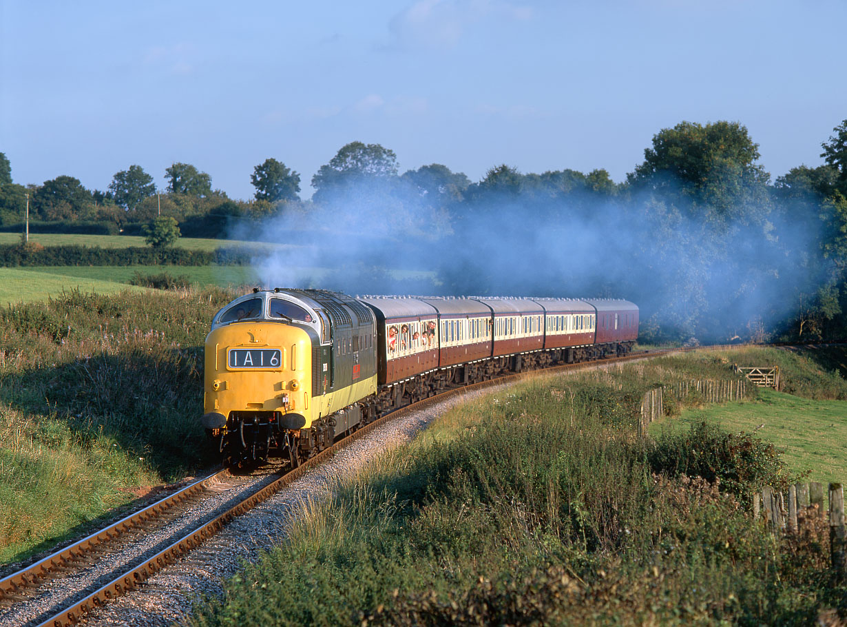 D9019 Nethercott 20 September 1998