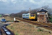 142029 Singleton 15 February 1992