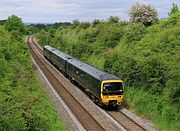 166219 Upton Scudamore 9 June 2021