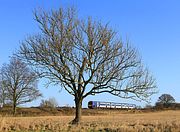 170474 Whixley 18 January 2020