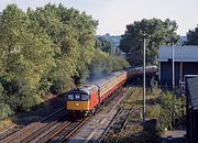 33021 Paddock Wood 28 August 1999