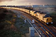 37072 & 37264 Hallen Marsh Junction 3 December 1994