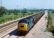 37204 Marshfield 28 April 1984