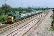 37251 Marshfield 28 April 1984