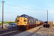 37350 & 37215 Cholsey 16 August 1991