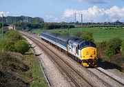 37407 Berkley 20 April 1995