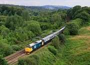 37418 Glifach Fargoed 8 July 2019