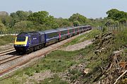 43071 Hungerford Common 15 May 2019