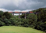 43154 Coldrenick Viaduct 18 July 1998