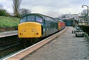 45010 Cheltenham 17 November 1982