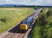 45113 Abbotswood 6 July 1985