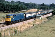 47477 Hungerford Common 3 September 1984